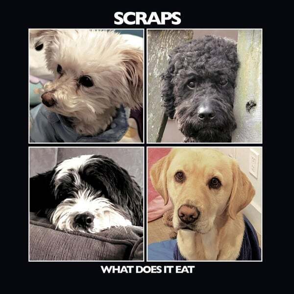 Cover art for Scraps